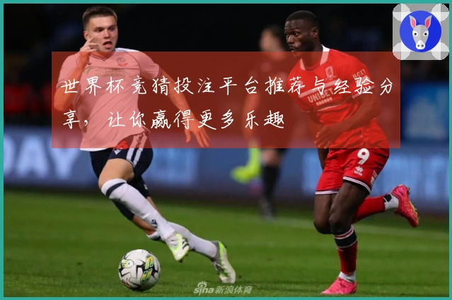 世界杯竞猜投注平台推荐与经验分享，让你赢得更多乐趣