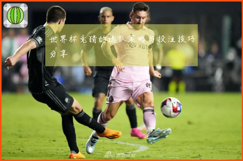 世界杯竞猜的选队策略与投注技巧分享