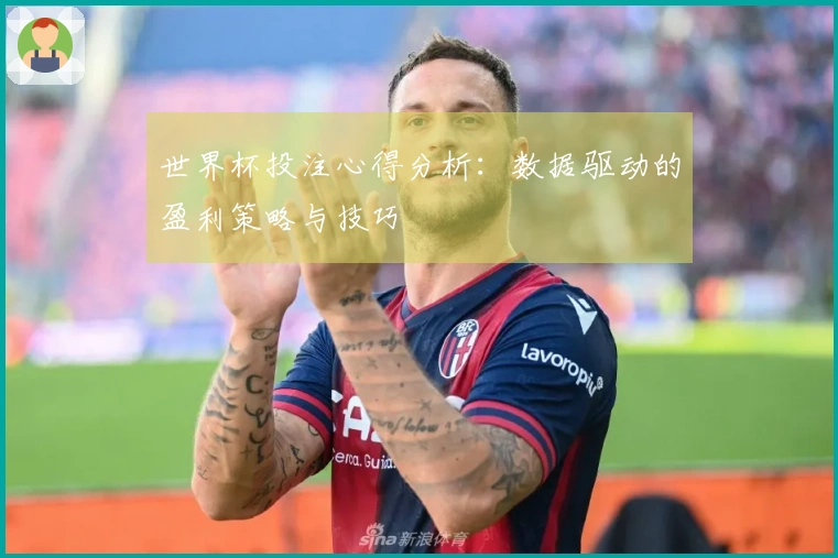世界杯投注心得分析：数据驱动的盈利策略与技巧