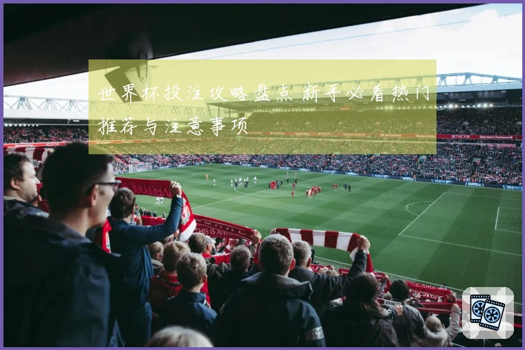 世界杯投注攻略盘点 新手必看热门推荐与注意事项