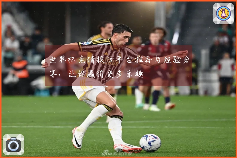 世界杯竞猜投注平台推荐与经验分享，让你赢得更多乐趣