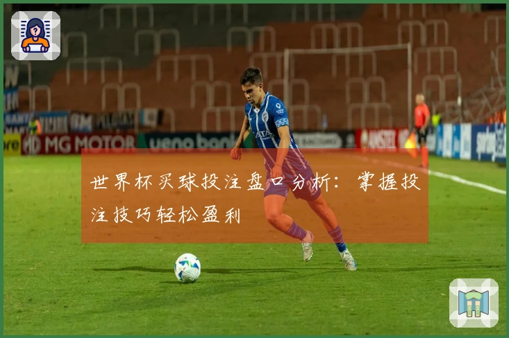 世界杯买球投注盘口分析：掌握投注技巧轻松盈利