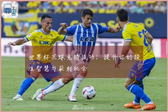 世界杯买球竞猜技巧：提升你的投注智慧与获利机会