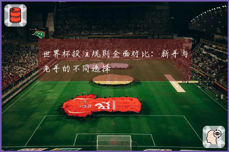 世界杯投注规则全面对比：新手与老手的不同选择