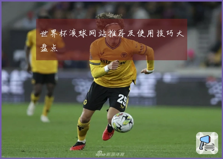 世界杯滚球网站推荐及使用技巧大盘点