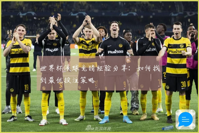 世界杯滚球竞猜经验分享：如何找到最优投注策略