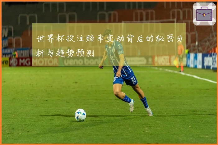 世界杯投注赔率变动背后的秘密分析与趋势预测