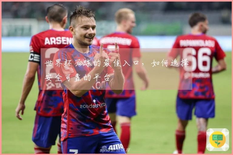世界杯买球的最佳入口，如何选择安全可靠的平台