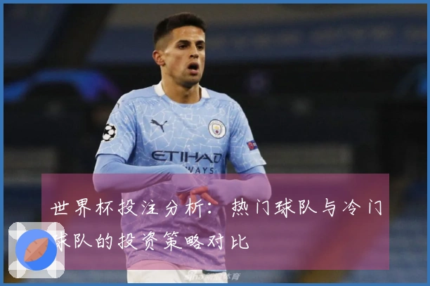 世界杯投注分析：热门球队与冷门球队的投资策略对比