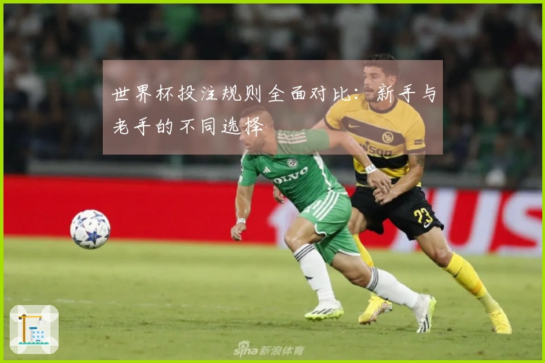 世界杯投注规则全面对比：新手与老手的不同选择
