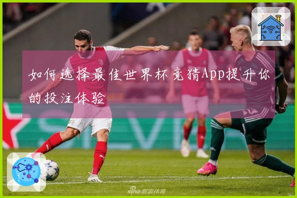 如何选择最佳世界杯竞猜App提升你的投注体验