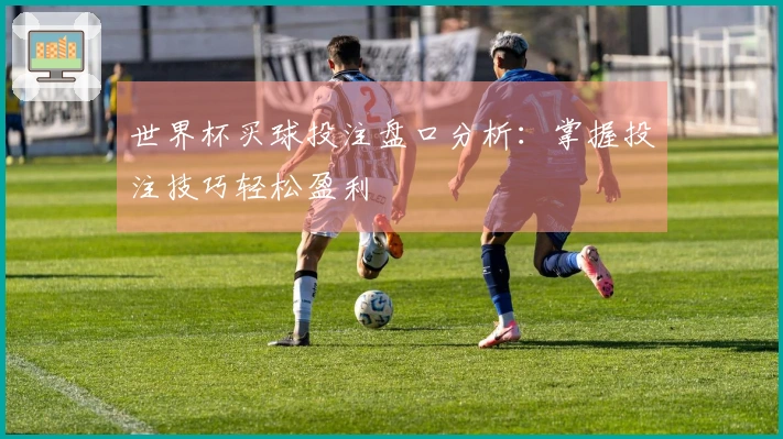 世界杯买球投注盘口分析：掌握投注技巧轻松盈利